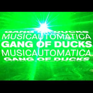 PAYNOMINDTOUS.IT Gang of Ducks x Musicautomatica | Bunker, 28/10/17